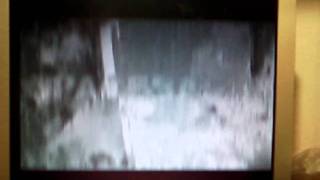 Blizzard 1260 060@77.7MHz + 64MB RAM.mp4