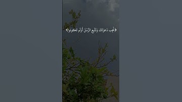 وانذر الناس يوم يأتيهم العذاب|سورة ابراهيم|ايه٤٤|تكمله١|القارئ شريف مصطفى