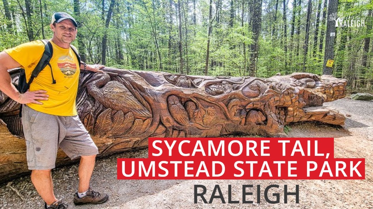 Hiking the Sycamore Trail, Umstead State Park, Raleigh