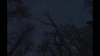 trapeia, julez - empty feelings (1hour) loop