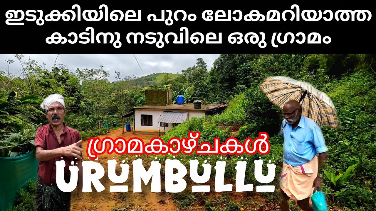 Urumbullu ഇടുക്കിലെ ഒറ്റപ്പെട്ട ചില ഗ്രാമ കാഴ്ചകൾ Mullakanam Kottamala Vagamon Idukki 