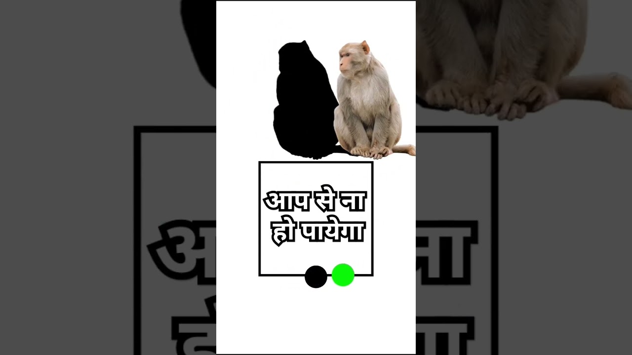 Stop challenge for you00.03%