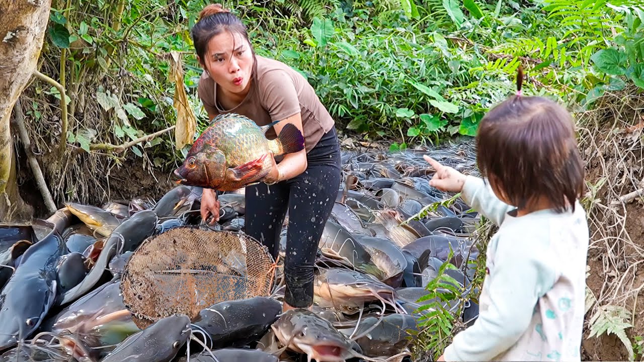 Catching Giant Carp and Tilapia by Hand in the Stream, Bring them to the Market to Sell with family