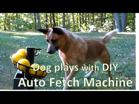 diy-remote-controlled-automatic-ball-launcher-for-dogs