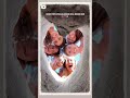 #bestfriend #bestie #bestmoments #bff #dosti #friend #friendship #minivlog #friendshipgoals #mylove