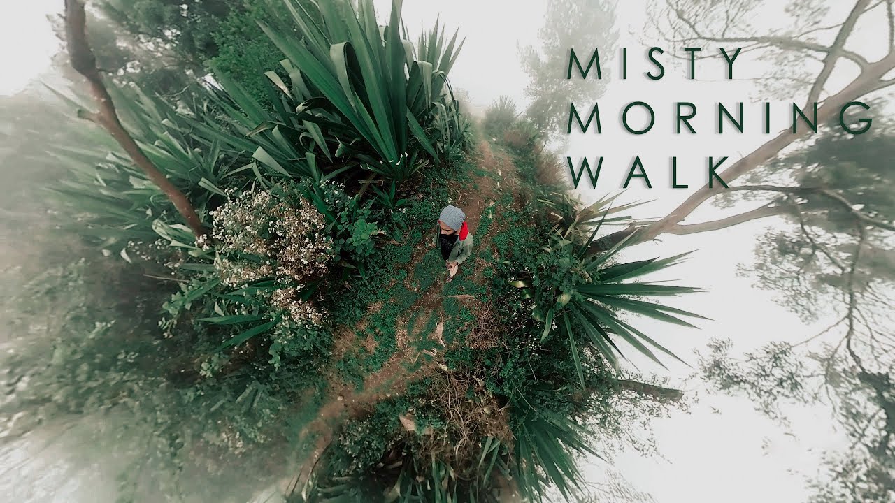 Misty morning walk | ASMR | Kodaikanal | India | Insta 360