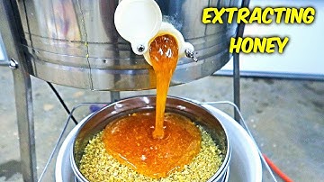 Extracting Honey - Honey Harvest Part 2