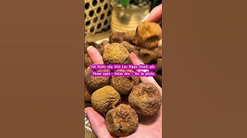 #vaithieusaykho #vaithieulucngan #vaithieulucnam  #vaisay #dacsanbacgiang #vaithieu #traicaysaykho