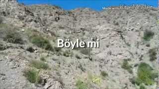 Doğa İçin Söylediler.