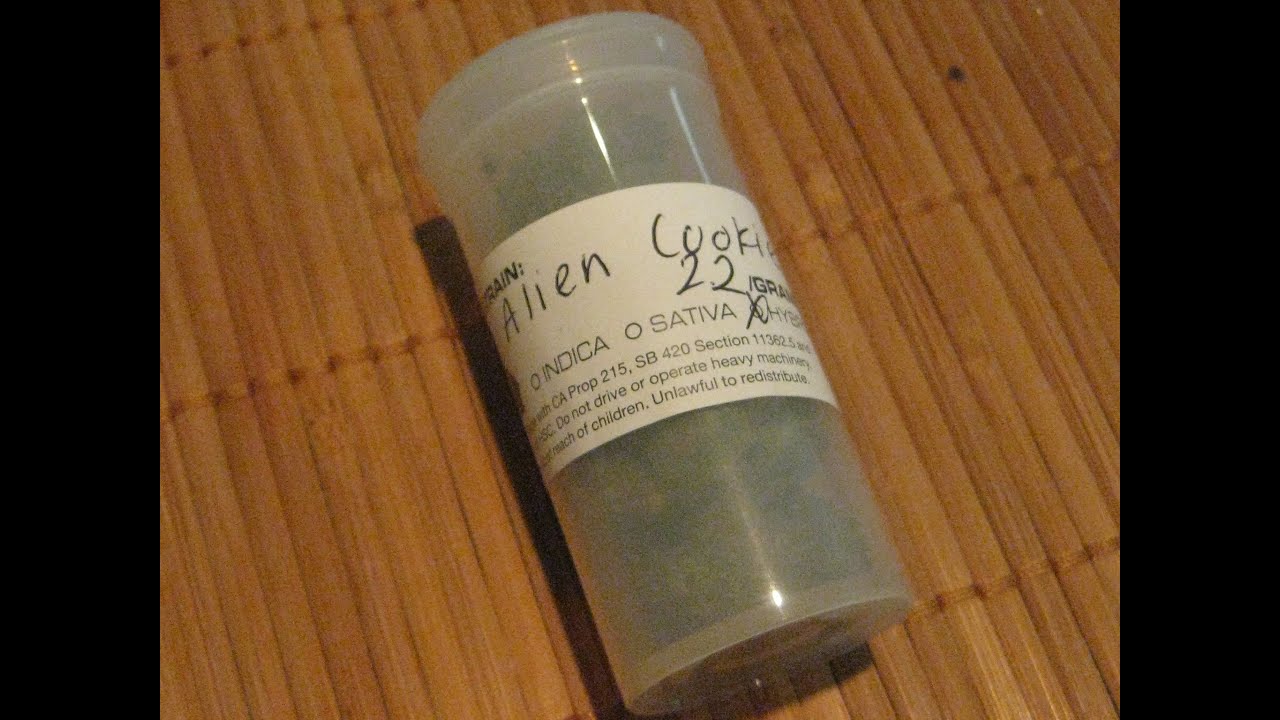 Bongs Up! A Bonghit with IE420: Alien Cookies