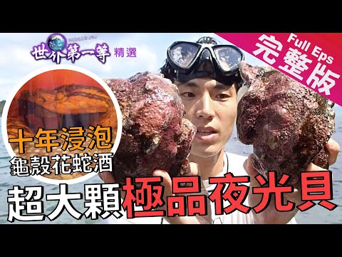 《世界第一等》845集【沖繩】苦瓜／阿古豬／劇毒蛇飲／鯨鯊共游／極品夜光貝｜完整版