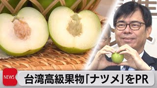 台湾産の高級果物「ナツメ」をＰＲ（2023年3月6日）