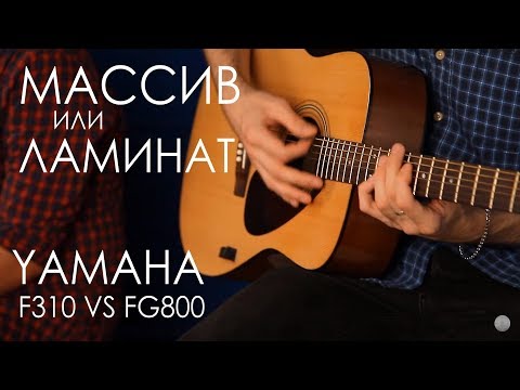 Сравнение гитары из Массива и Ламината | YAMAHA F310 VS FG800