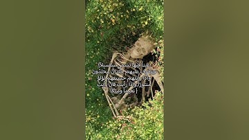 #لايك #راحة_نفسية #تلاوة_خاشعة #قرآن #اكسبلور #قران_كريم #محمد_اللحيدان #اللحيدان #النبرة_اللحيدانية