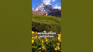 تلاوة ممتعة للآية 23-26 من سورة الإنسان