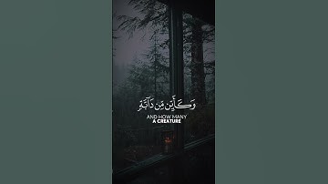 قران كريم quran #راحة_نفسية #تلاوات_خاشعة #quran #قران_كريم #ذكر #اجر #islam #سبحان_الله #viral #fyp
