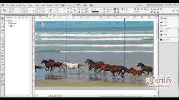 Adobe InDesign CS6 import an XML file demo
