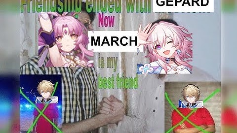 No Gepard? No Problem. Preservation Fu Xuan Swarm Disaster Difficulty 5