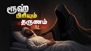 உயர பரயம தரணம நடபபத எனன ? உயர வனவரகள Sadham Zain Tv