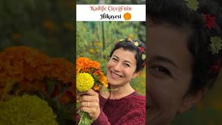 Tanışalım Kadife Çiçeği 🌺 Resimi