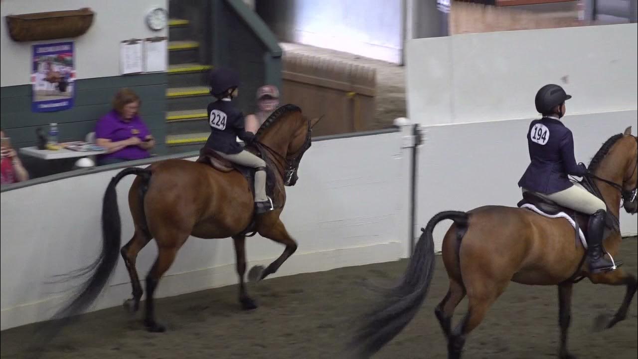 Connecticut Horse Show June 2021 Heidi's Hunt Seat Equitation