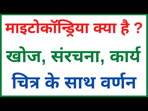 वीडियो: माइटोकॉन्ड्रिया के तीन कार्य क्या हैं?