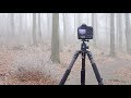 Winter Woodland Photography UK - Composition, Tips & Techniques