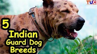 Top 5 Indian Guard Dog Breeds : Guard Dogs : TUC