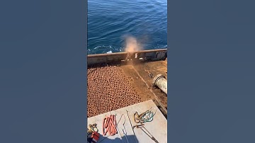 These buoys are part of the navigation system. #marine #ocean