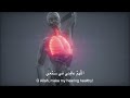 URGENT! DUA FOR HEALTH دعاء للصحة والعافية Mp3 Song