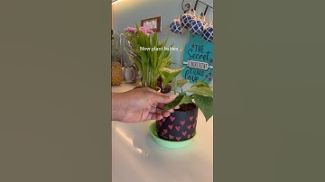 After work hours 🏡✨🌸! #minivlog #shortsfeed #shortsfeed #diml #ytshorts #home #workingwoman #vlog