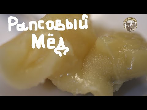 Рапсовый Мёд Какой он Для чего полезен