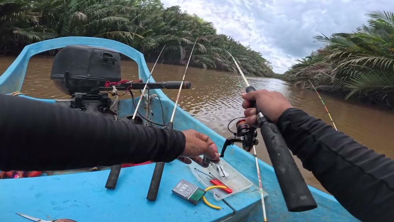 Hasil udang yang halus halus // ada turun ada naik