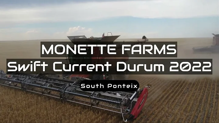 Monette Farms Durum Harvest 2022