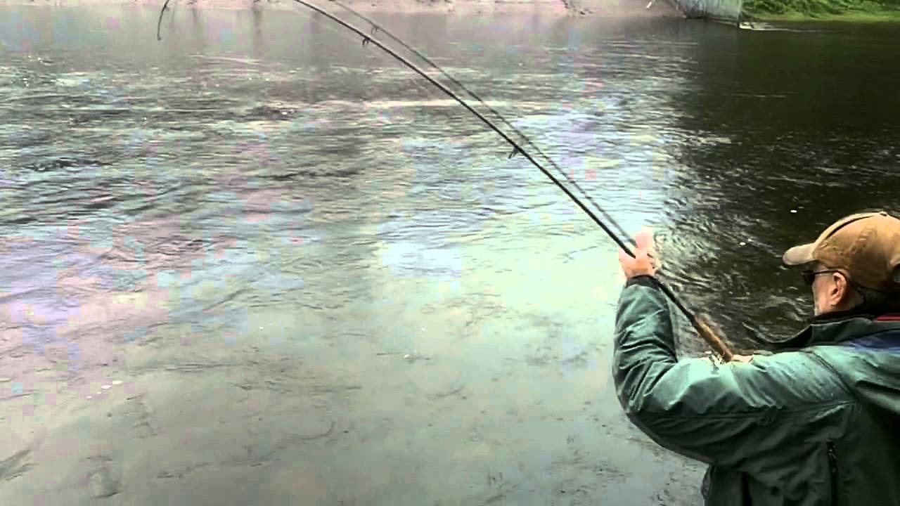 Salmon Fishing Ireland 2014 ( HD )." MAY". YouTube