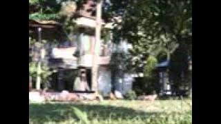 Ust. Fu'ad Ft Firgiawan - Robbi Faj'al Mujtama'na