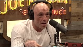 Joe Pistone (Donnie Brasco) On How He Infiltrated The Mafia - Joe Rogan Wealth
