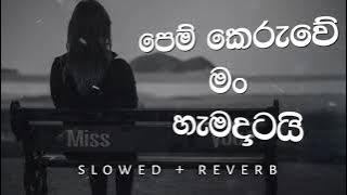 පෙම් කෙරුවේ මං හැමදාටයි | Mage Patiyo | මගෙ පැටියෝ | Slowed Reverb #relax_sr_studio
