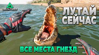 ❓ ВСЕ МЕСТА ИВЕНТОВЫХ ГНЕЗД - СОБИРАЙ ЛУТ в DELTA FORCE | PingH8