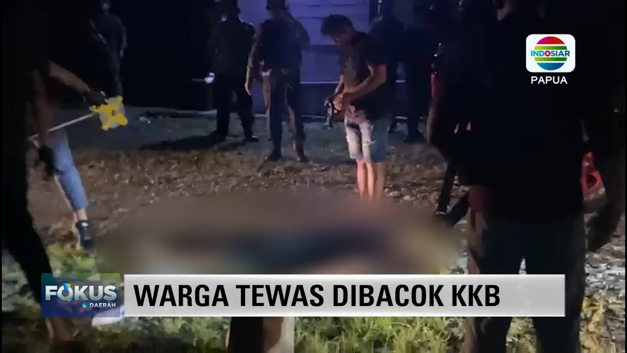 BERITA INDOSIAR FOKUS DAERAH PAPUA 29 DESEMBER 2025