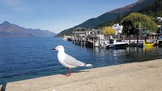 뉴질랜드 렌트카 여행 :  남섬 - 퀸즈타운 Queenstown