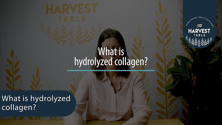 Hydrolyzed collagen type 1 and 3 là gì năm 2024
