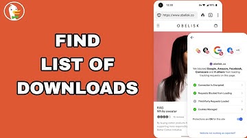 How To Find List Of Downloads On DuckDuckGo Private Browser App
