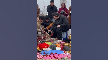 Dùng tông đơ căt tóc và lông chó