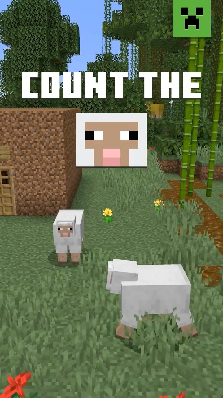 CAN’T SLEEP?