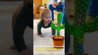 لعبة الصبار الراقصة dancing cactus screenshot 3