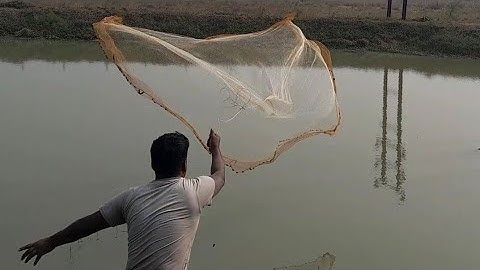 Amazing Cast Net Fishing Skill Catch Giant Fish - Awesome Traditional Net Fishing on The Pond