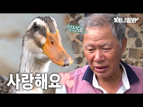 Worry Fairy Grandpa and the Duck Who Follows Her Around