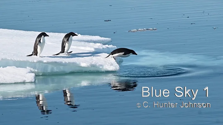 Blue Sky 1 Music - Good Morning @ C. Hunter Johnson TV