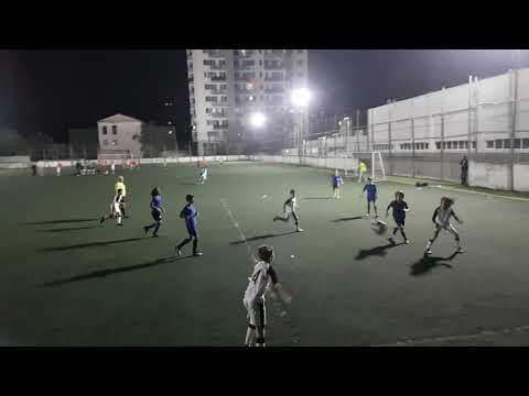 ავაზა vs ლომები I ტაიმი